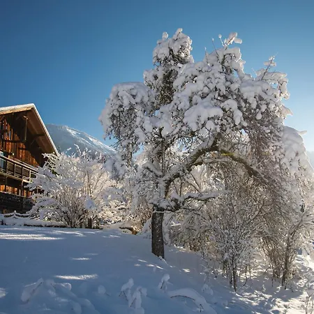 Cannelle לינה וארוחת בוקר 3*