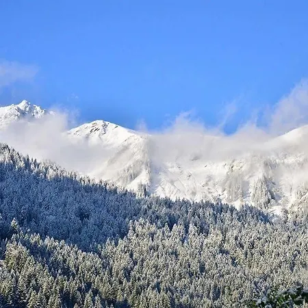 Cannelle * Chatel